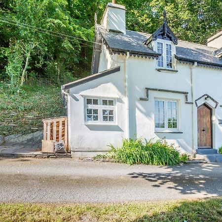 Braich-Y-Celyn Lodge Aberdyfi Exterior foto