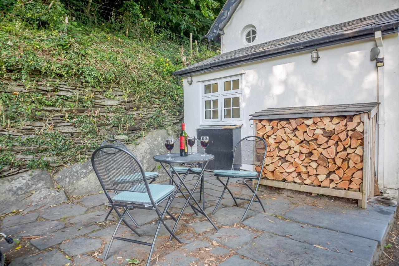 Braich-Y-Celyn Lodge Aberdyfi Exterior foto